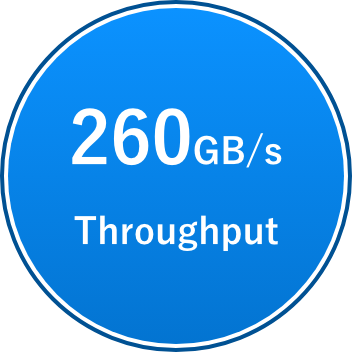 260GB/s Throughput