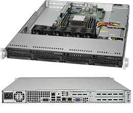 5019P-WT