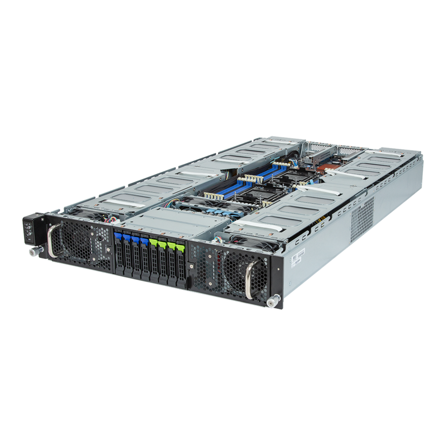 G293-S42 (rev. AAP1)