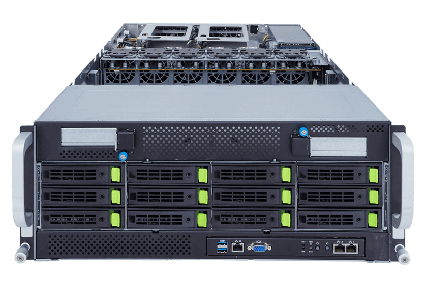 G493-SB1 (rev. AAP1)