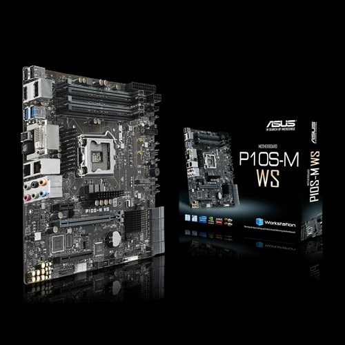 P10S-M WS