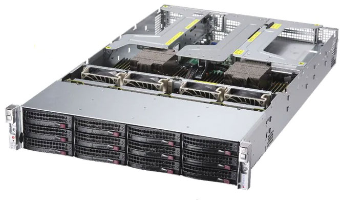 AS-2024US-TNR
